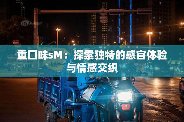 重囗味sM：探索独特的感官体验与情感交织