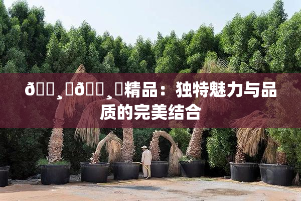 🌸‌🌸‌精品：独特魅力与品质的完美结合