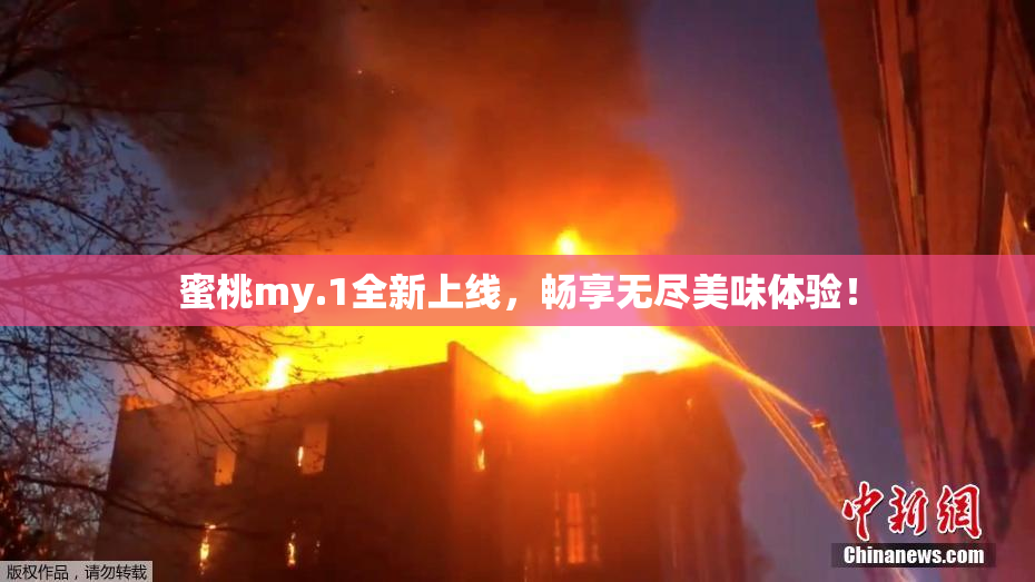 蜜桃my.1全新上线，畅享无尽美味体验！