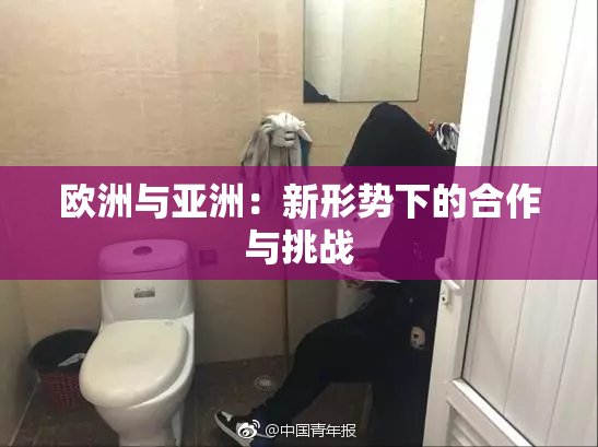 欧洲与亚洲：新形势下的合作与挑战