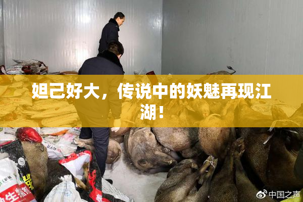 妲己好大，传说中的妖魅再现江湖！