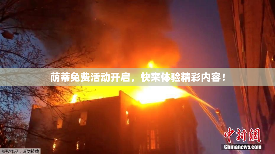荫蒂免费活动开启，快来体验精彩内容！