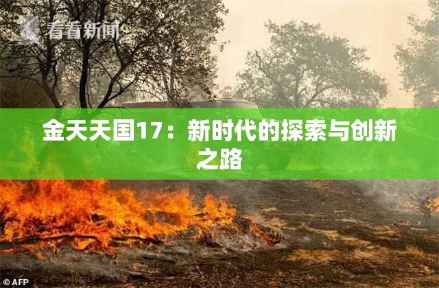 金天天国17：新时代的探索与创新之路