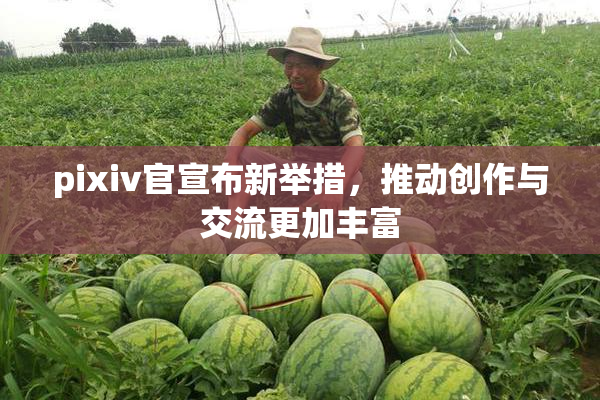 pixiv官宣布新举措，推动创作与交流更加丰富