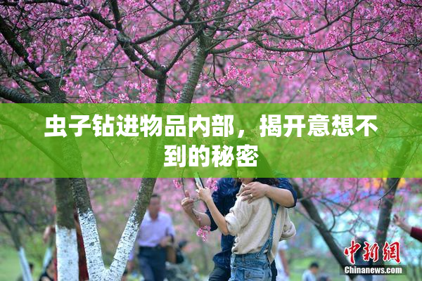 虫子钻进物品内部，揭开意想不到的秘密