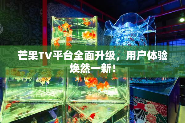 芒果TV平台全面升级，用户体验焕然一新！