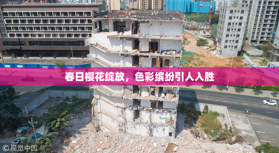 春日樱花绽放，色彩缤纷引人入胜