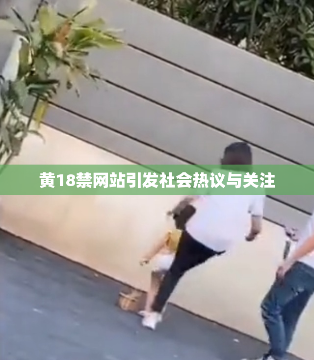 黄18禁网站引发社会热议与关注