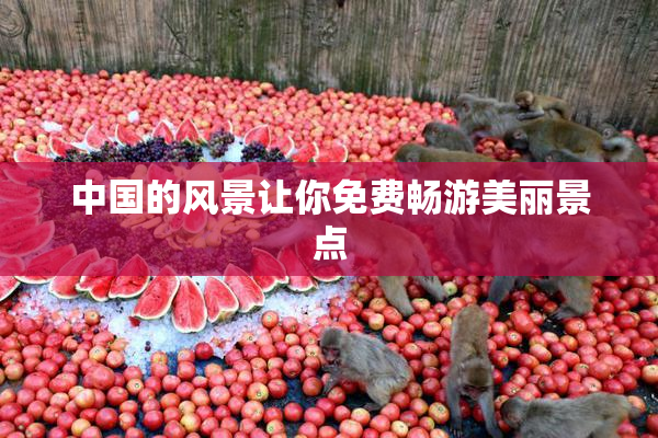 中国的风景让你免费畅游美丽景点