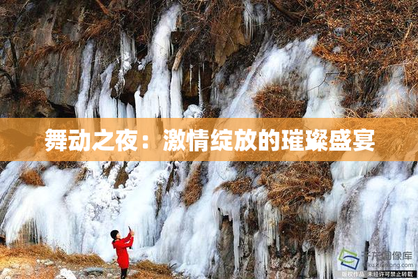 舞动之夜：激情绽放的璀璨盛宴