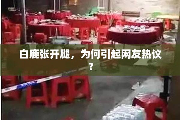 白鹿张开腿，为何引起网友热议？