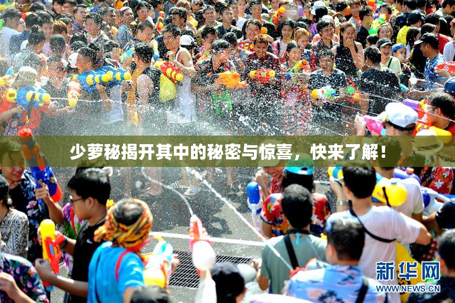 少萝秘揭开其中的秘密与惊喜，快来了解！