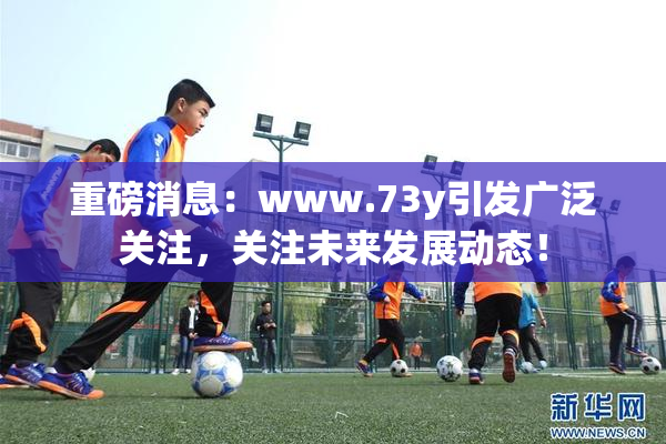重磅消息：www.73y引发广泛关注，关注未来发展动态！