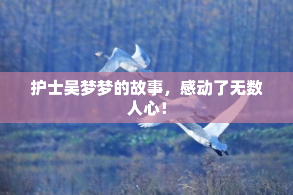 护士吴梦梦的故事，感动了无数人心！