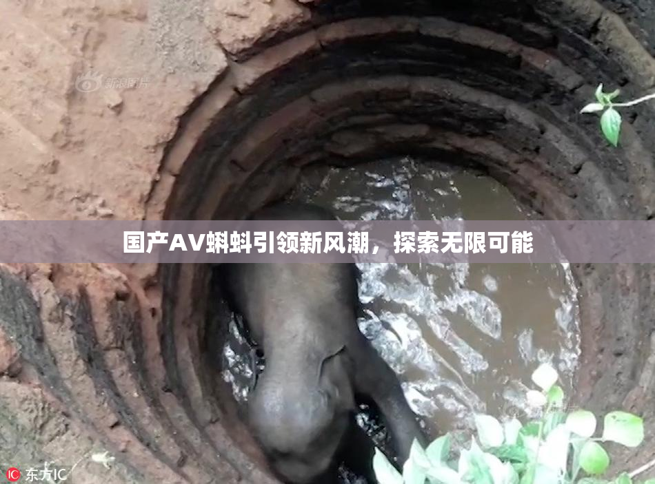 国产AV蝌蚪引领新风潮，探索无限可能