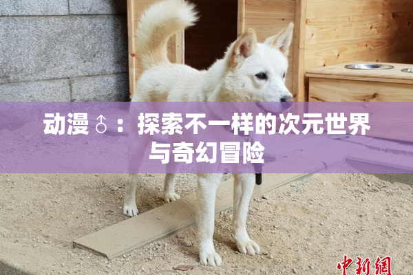 动漫♂：探索不一样的次元世界与奇幻冒险