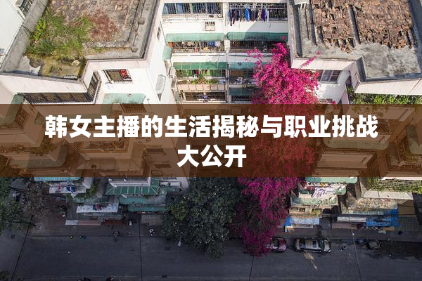 韩女主播的生活揭秘与职业挑战大公开
