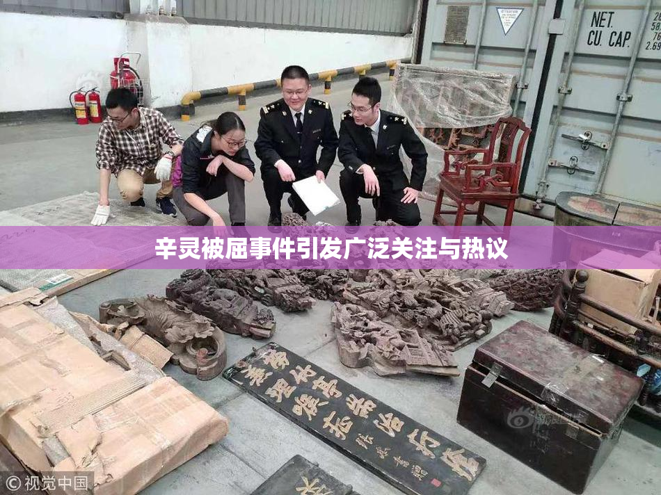 辛灵被屈事件引发广泛关注与热议