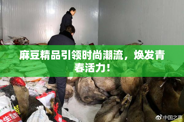 麻豆精品引领时尚潮流，焕发青春活力！