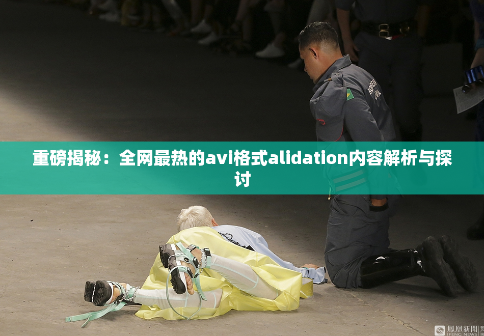 重磅揭秘：全网最热的avi格式alidation内容解析与探讨