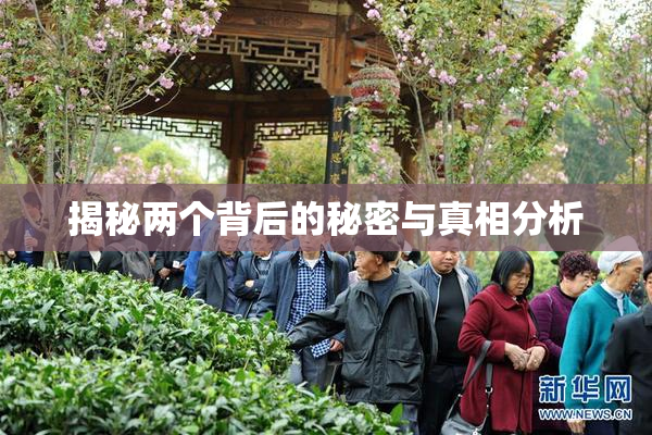 揭秘两个背后的秘密与真相分析