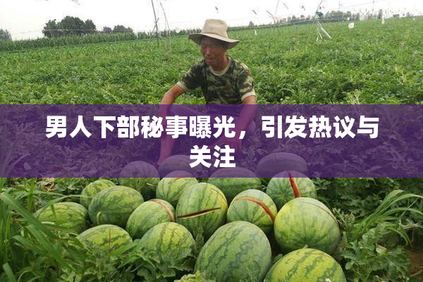 男人下部秘事曝光，引发热议与关注