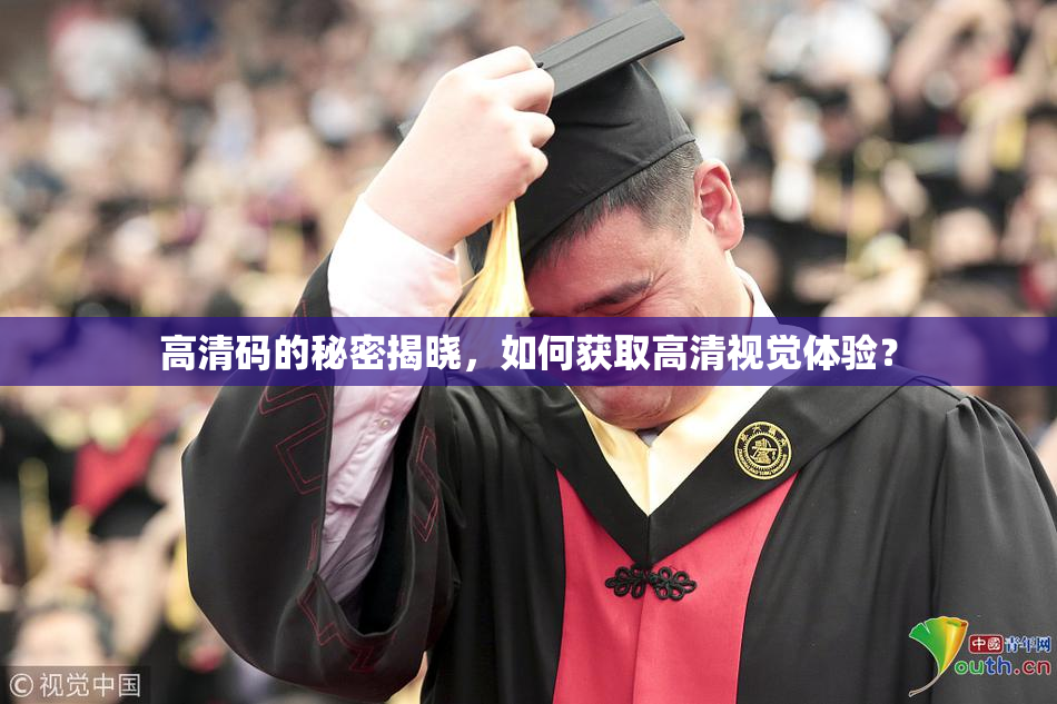 高清码的秘密揭晓，如何获取高清视觉体验？
