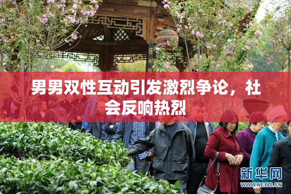 男男双性互动引发激烈争论，社会反响热烈