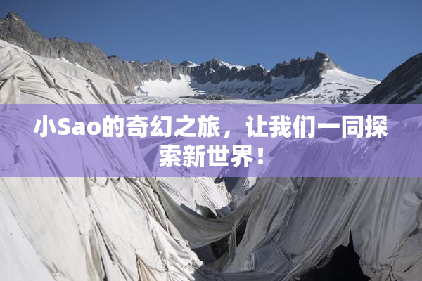 小Sao的奇幻之旅，让我们一同探索新世界！