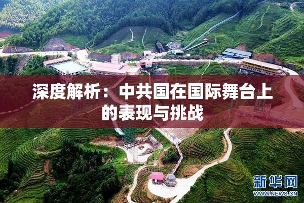 深度解析：中共国在国际舞台上的表现与挑战
