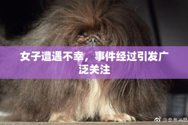 女子遭遇不幸，事件经过引发广泛关注
