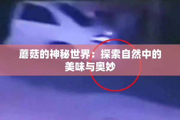 蘑菇的神秘世界：探索自然中的美味与奥妙