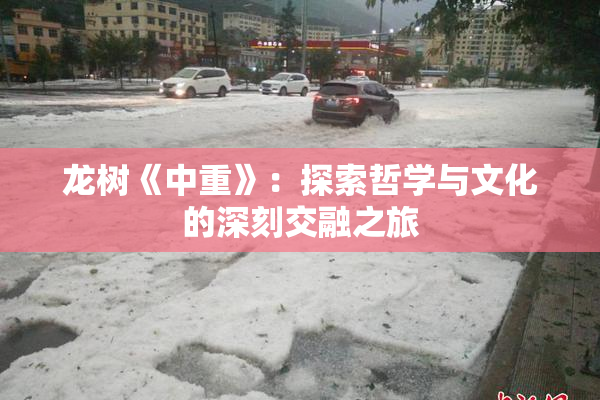 龙树《中重》：探索哲学与文化的深刻交融之旅