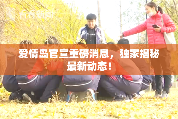 爱情岛官宣重磅消息，独家揭秘最新动态！