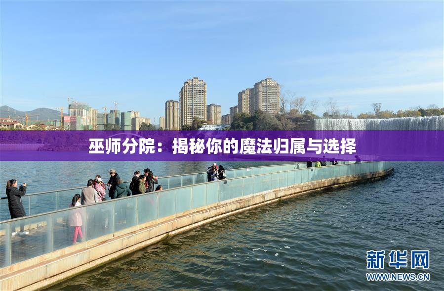巫师分院：揭秘你的魔法归属与选择