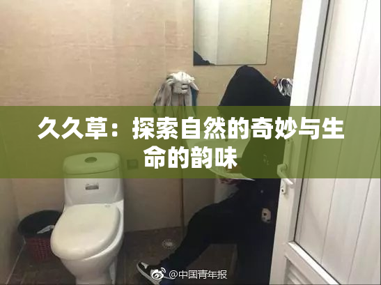 久久草：探索自然的奇妙与生命的韵味