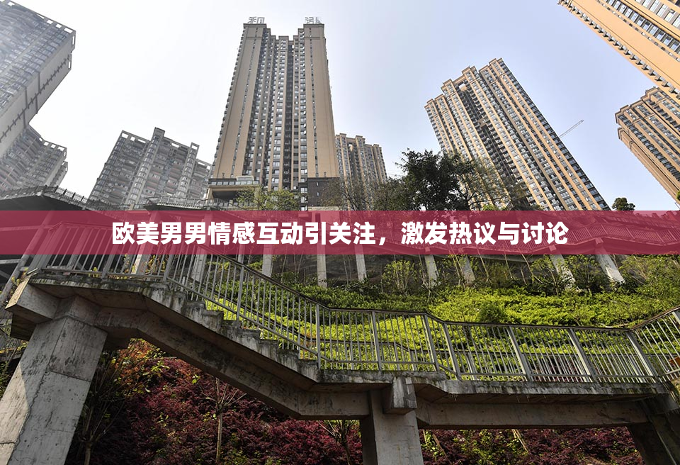 欧美男男情感互动引关注，激发热议与讨论