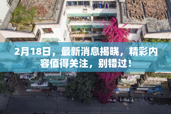 2月18日，最新消息揭晓，精彩内容值得关注，别错过！