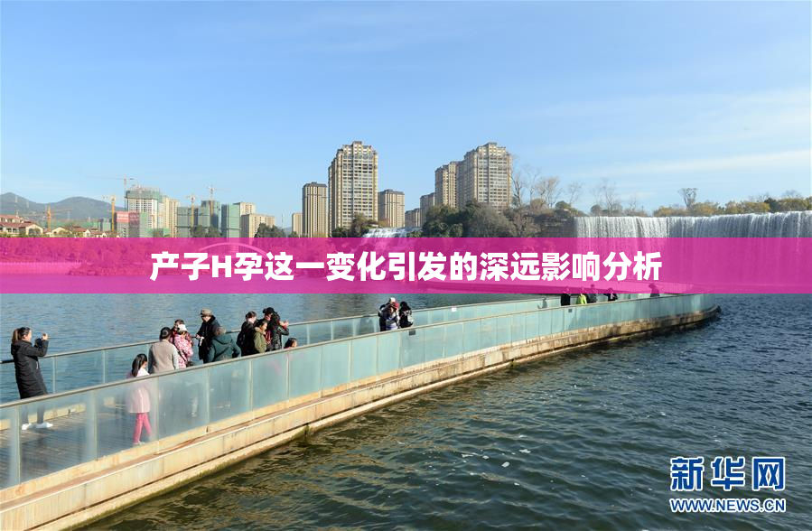 产子H孕这一变化引发的深远影响分析