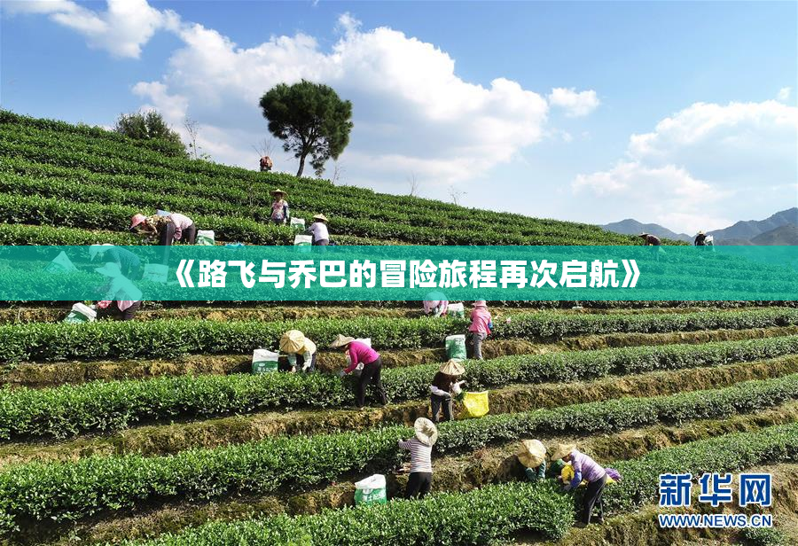 《路飞与乔巴的冒险旅程再次启航》