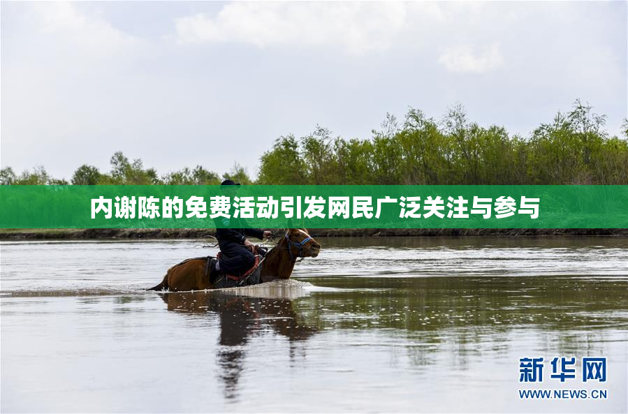 内谢陈的免费活动引发网民广泛关注与参与