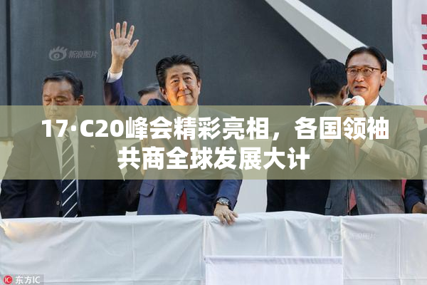 17·C20峰会精彩亮相，各国领袖共商全球发展大计