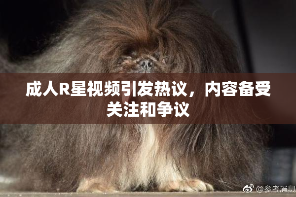 成人R星视频引发热议，内容备受关注和争议