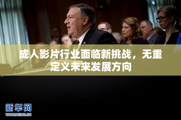 成人影片行业面临新挑战，无重定义未来发展方向