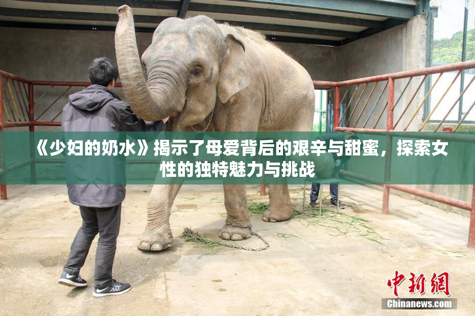 《少妇的奶水》揭示了母爱背后的艰辛与甜蜜，探索女性的独特魅力与挑战