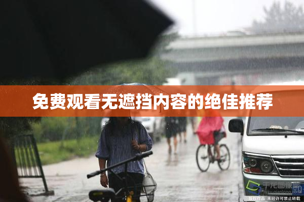 免费观看无遮挡内容的绝佳推荐