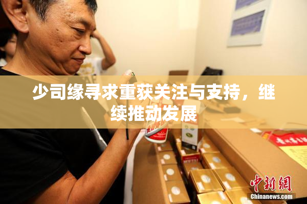 少司缘寻求重获关注与支持，继续推动发展