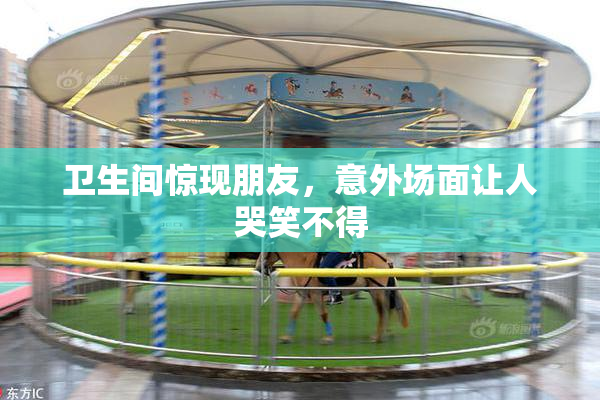 卫生间惊现朋友，意外场面让人哭笑不得