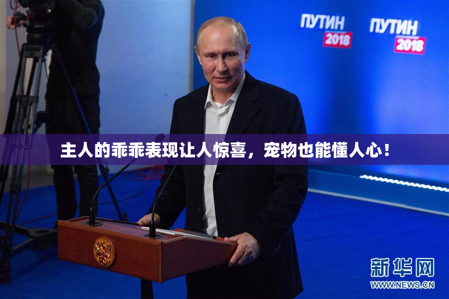 主人的乖乖表现让人惊喜，宠物也能懂人心！