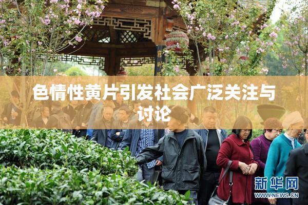 色情性黄片引发社会广泛关注与讨论